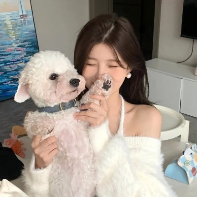 我洒顽皮豹