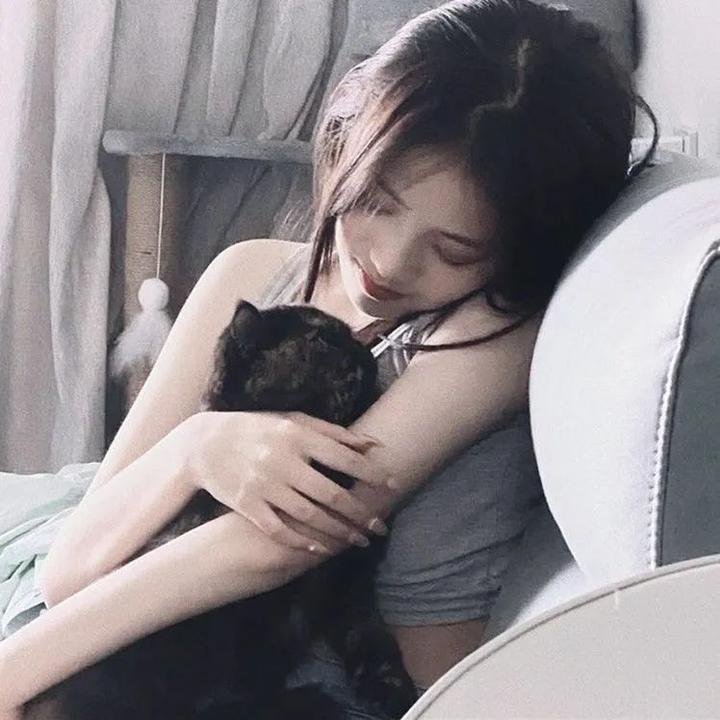 傻瓜们的行进